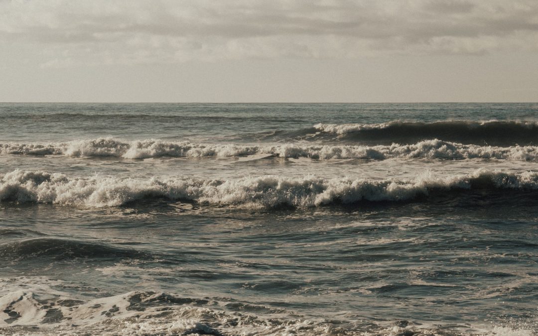 O Dia em que Você Passou a Amar os Nãos